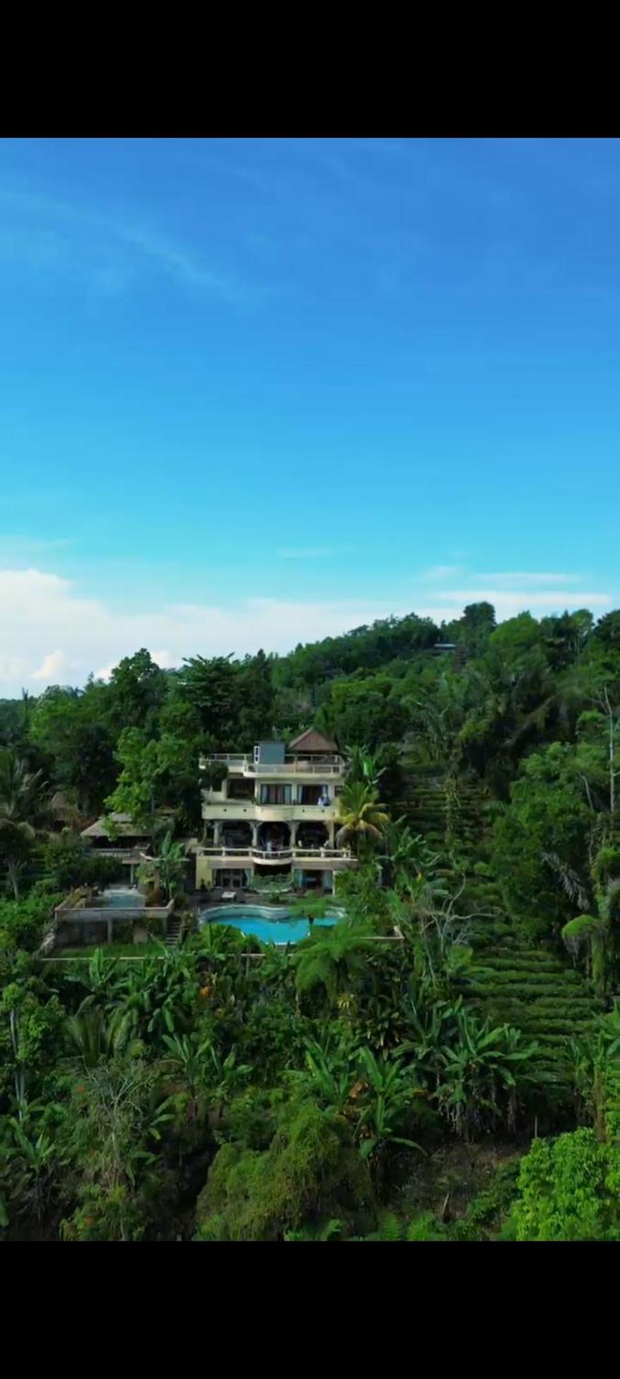 Dwan Tea Mountain Side Bed and Breakfast Jatiluwih Εξωτερικό φωτογραφία