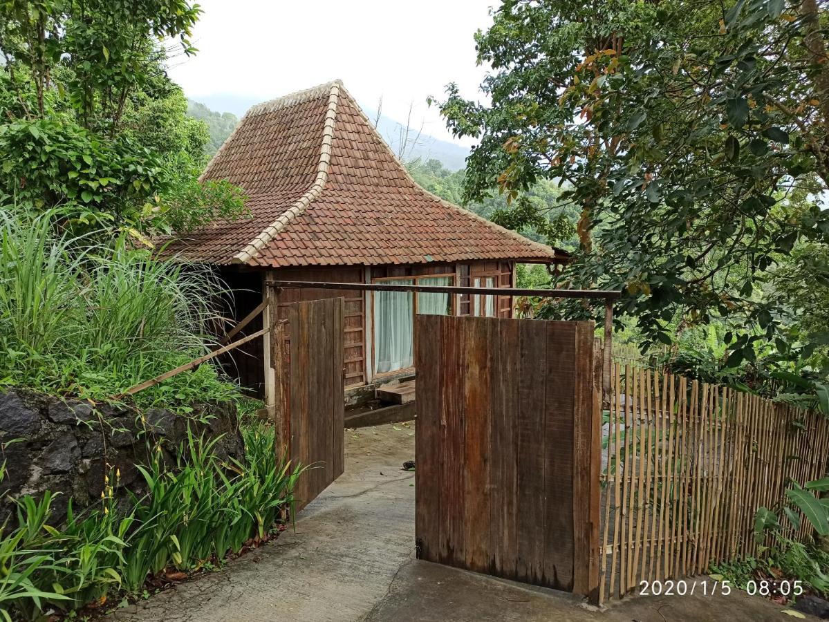 Dwan Tea Mountain Side Bed and Breakfast Jatiluwih Εξωτερικό φωτογραφία